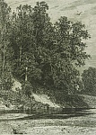 Офорт Шишкина И.И. "Лес на крутом берегу", 1877 г.