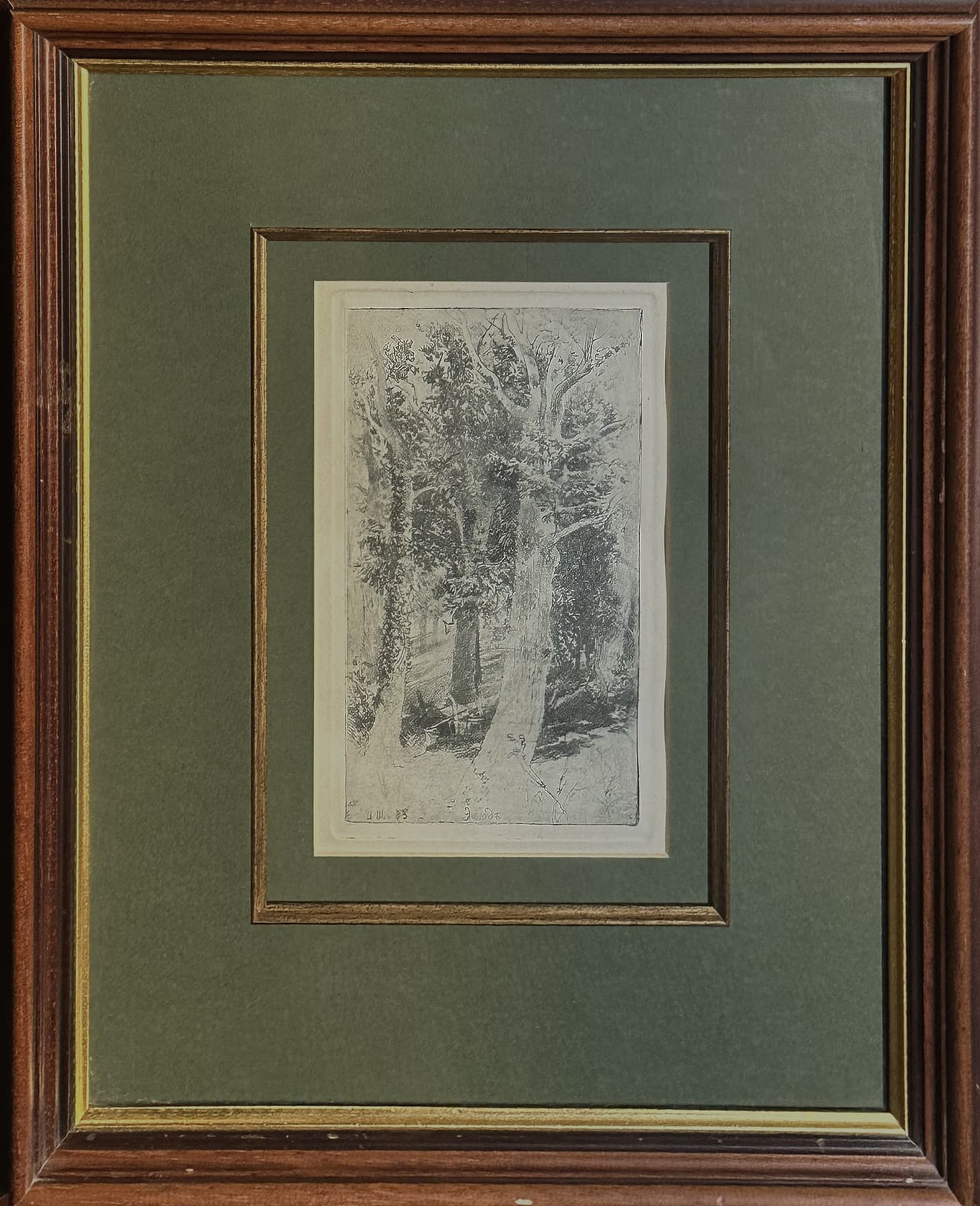 Этюд, автор Шишкин Иван Иванович (1832-1898), Графика — миниатюра 1