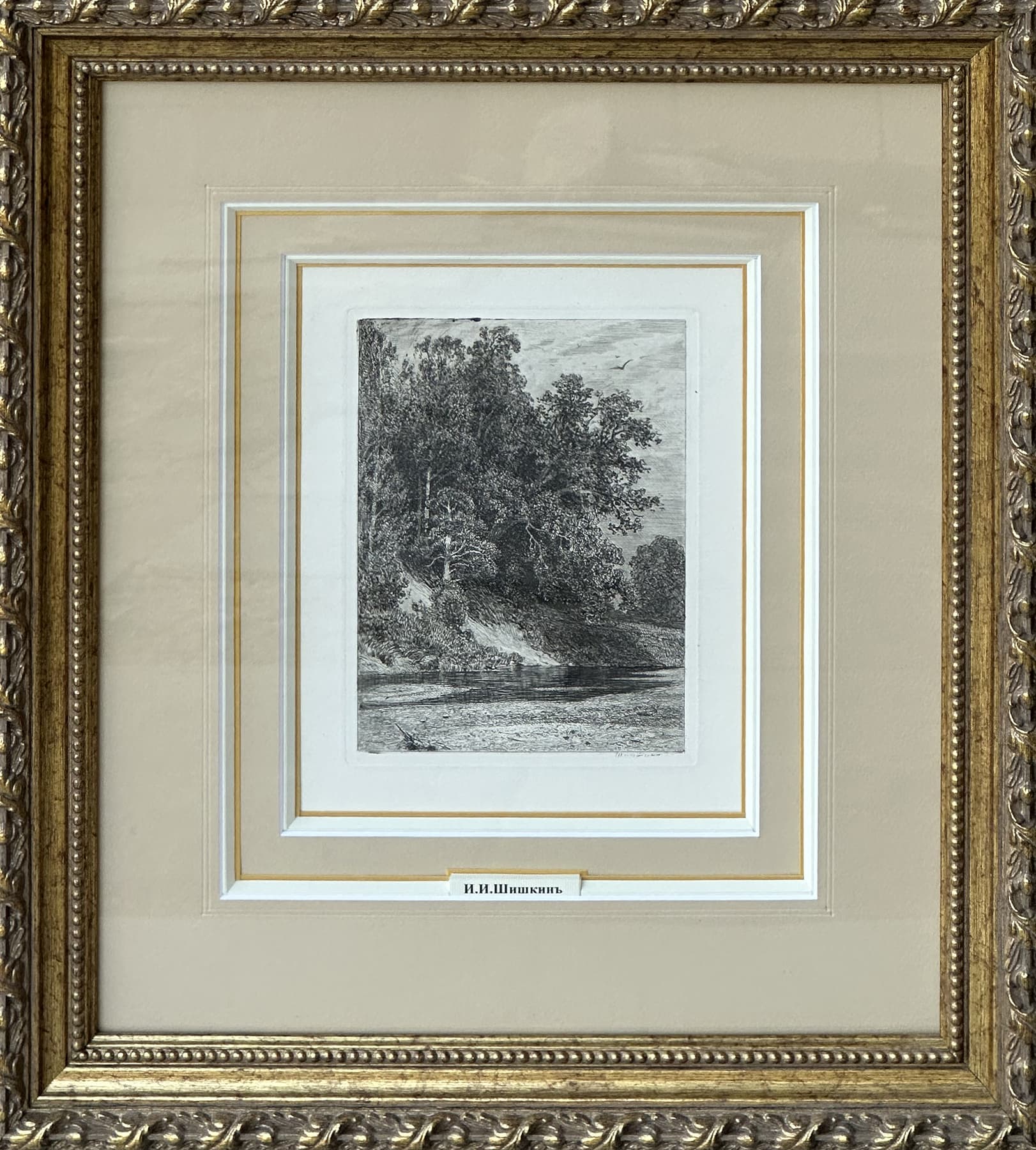 Лес на крутом берегу - Графика