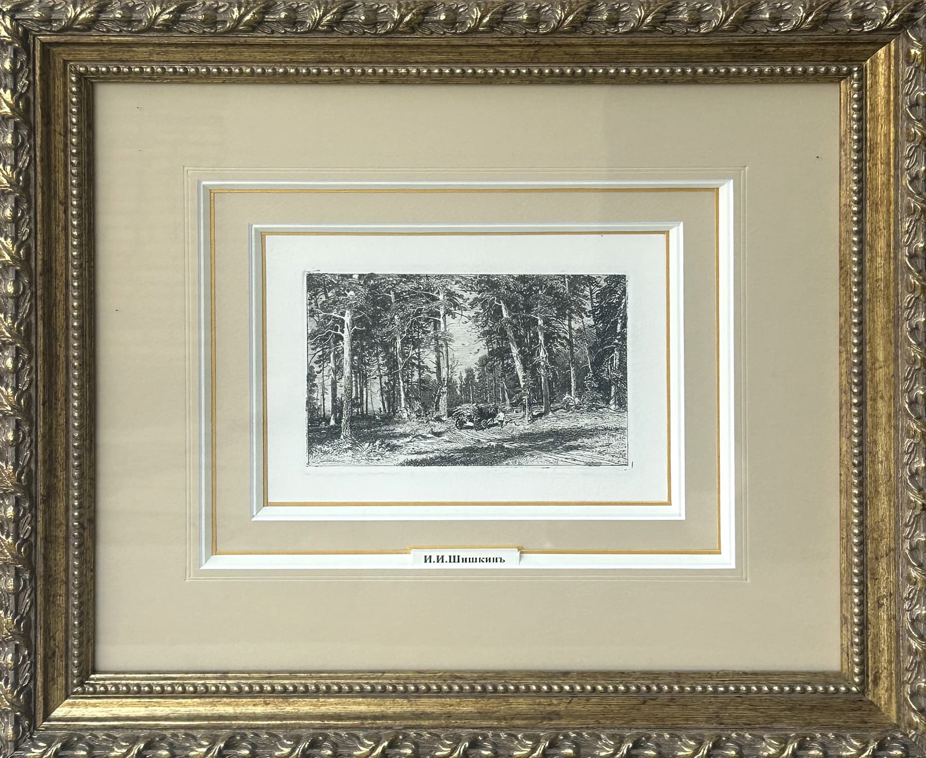 Окраина сосновой рощи - Графика